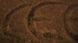 gal/CEEA_im_Schnee,_2009/_thb_HNG_005083.jpg