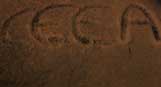 gal/CEEA_im_Schnee,_2009/_thb_HNG_005086.jpg