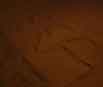 gal/CEEA_im_Schnee,_2009/_thb_HNG_005117.jpg